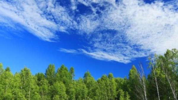 山東將環評審批、危廢許可等多項審批權下放